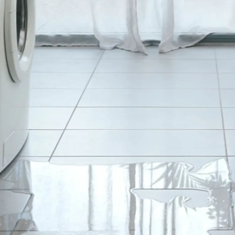 Appliance Leak Cleanup in Pasco County, FL