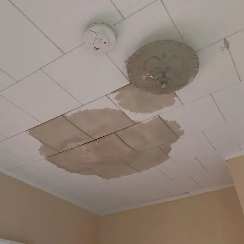 Ceiling Water Damage Repair in Pasco County, FL