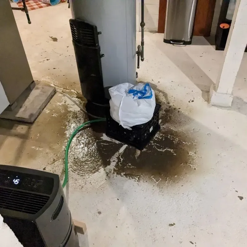 Sewage Backup Cleanup Service in Pasco County, FL